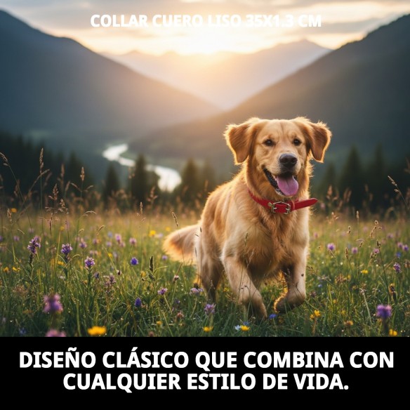 Collar de cuero liso 35x1.3 cm para perros elegantes
