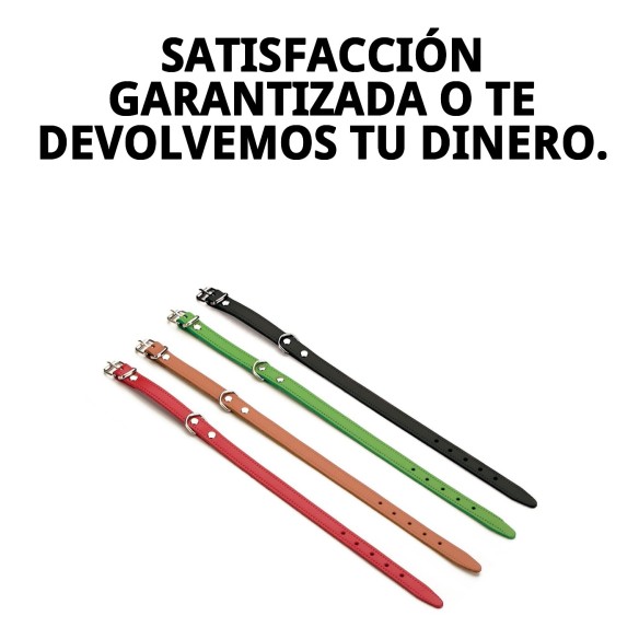 Collar de cuero liso 35x1.3 cm para perros elegantes