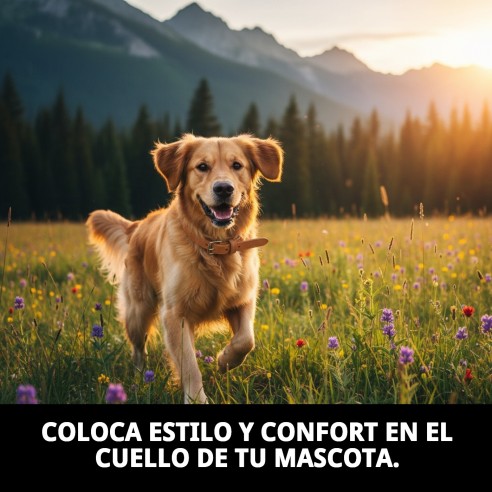 Collar de cuero liso 50x2 cm para tu mascota elegante y duradero