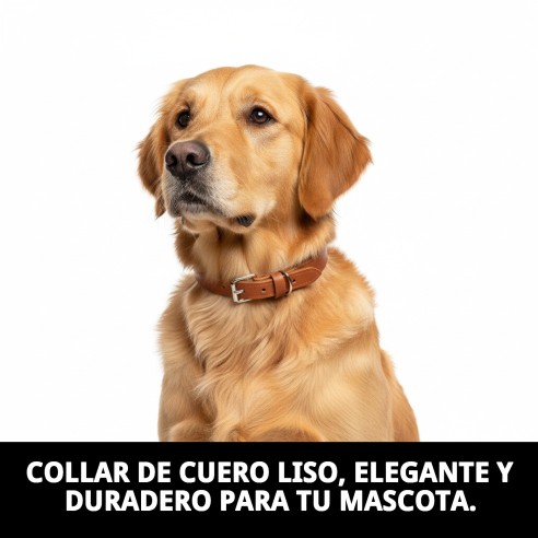 Collar de Cuero Liso 55x2.5 cm para Mascotas Elegante