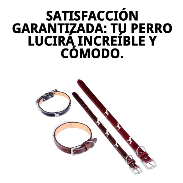 Collar de Cuero para Perrito 1,9x45 cm - Estilo y Comodidad