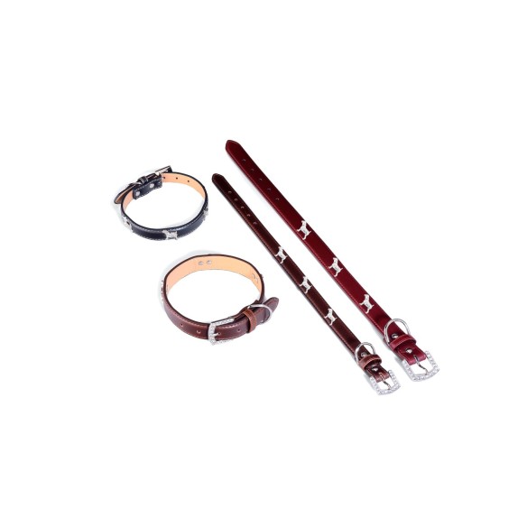 Collar de Cuero para Perrito 50x2,5 cm - Estilo y Comodidad