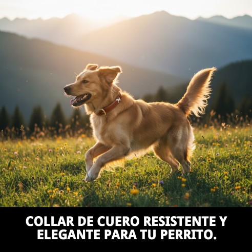Collar de Cuero para Perrito 50x2,5 cm - Estilo y Comodidad