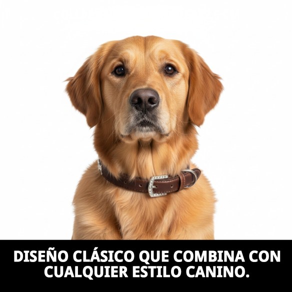 Collar de Cuero para Perrito 50x2,5 cm - Estilo y Comodidad