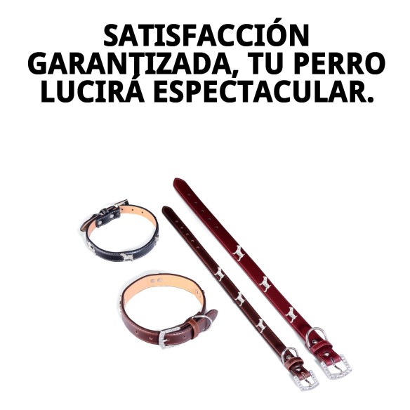 Collar de Cuero para Perrito 50x2,5 cm - Estilo y Comodidad