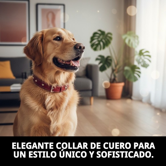 Collar de Cuero Forniture 1.5x35 cm para Tu Mascota