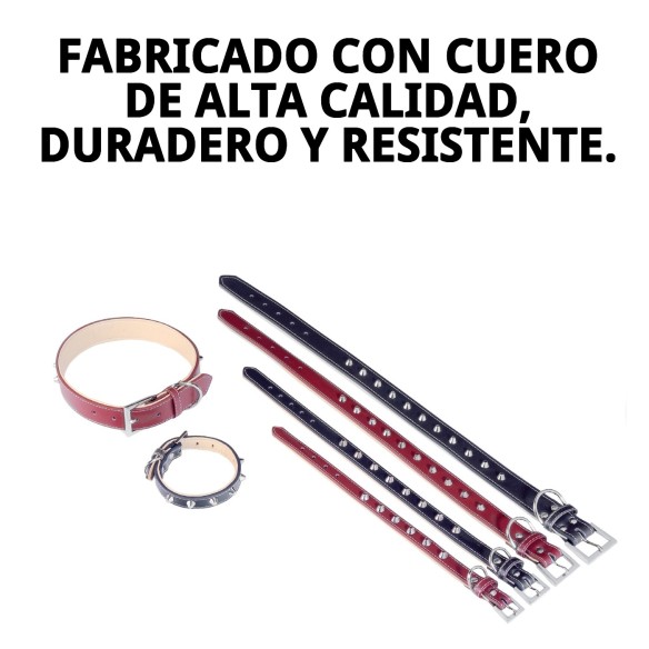 Collar de Cuero Forniture 1.5x35 cm para Tu Mascota