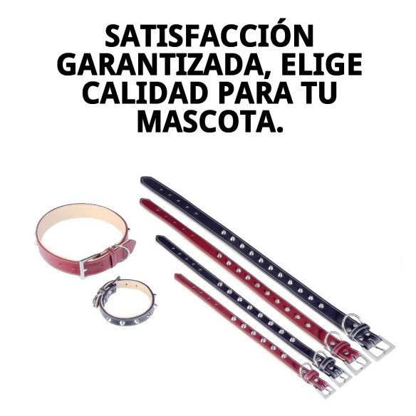 Collar de Cuero Forniture 1.5x35 cm para Tu Mascota