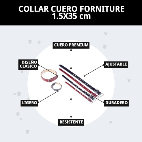 Collar de Cuero Forniture 1.5x35 cm para Tu Mascota