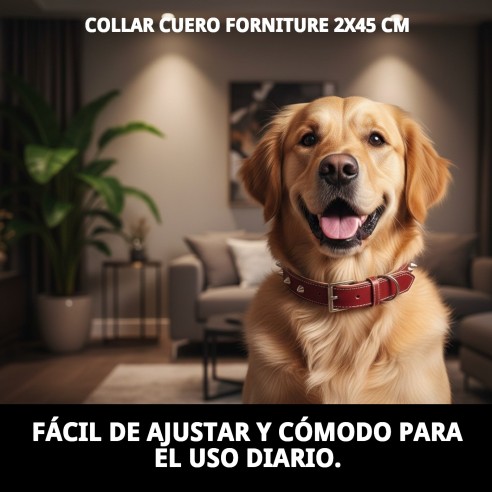 Collar de cuero Forniture 2x45 cm para mascotas elegantes