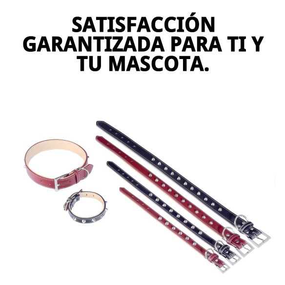 Collar de cuero Forniture 2x45 cm para mascotas elegantes