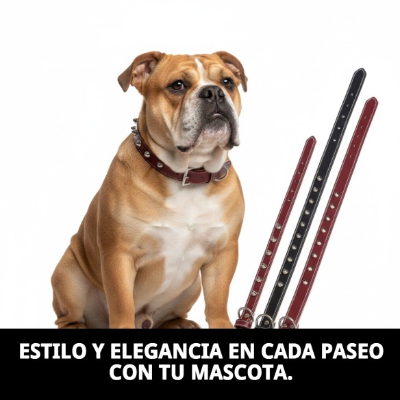 Collar de Cuero Forniture 3x60 cm para Mascotas