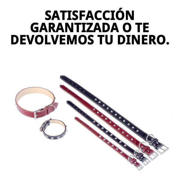 Collar de Cuero Forniture 3x60 cm para Mascotas