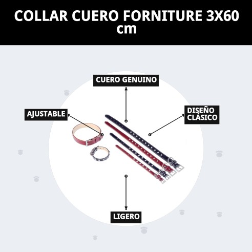 Collar de Cuero Forniture 3x60 cm para Mascotas