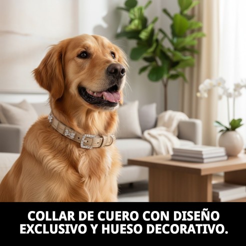 Collar de Cuero Beige con Hueso 1.6x30 cm para Mascotas