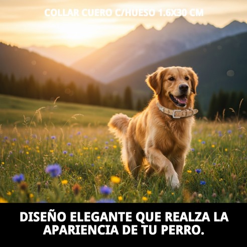 Collar de Cuero Beige con Hueso 1.6x30 cm para Mascotas