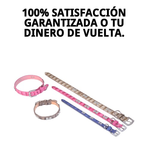 Collar de Cuero Beige con Hueso 1.6x30 cm para Mascotas