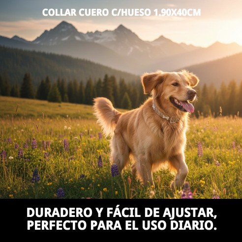 Collar de Cuero con Hueso Beige 1.90x40cm para Mascotas