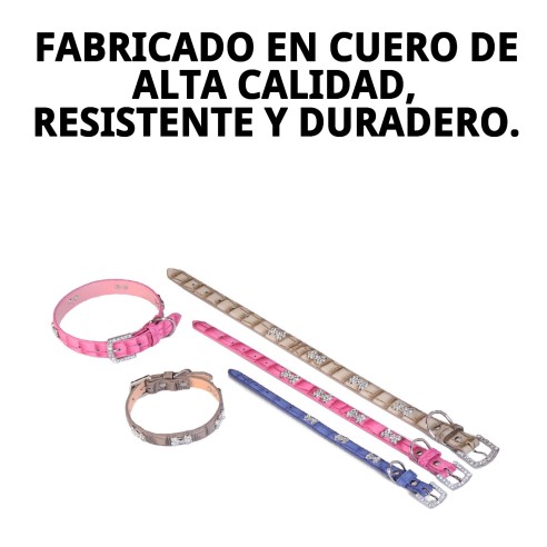 Collar de Cuero con Hueso para Mascotas - Beige y Azul