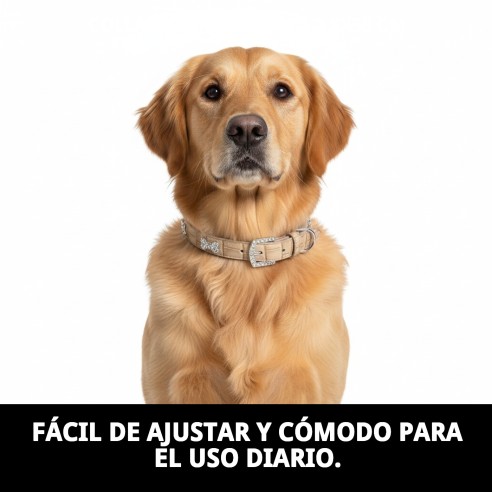 Collar de Cuero con Hueso para Mascotas - Beige y Azul