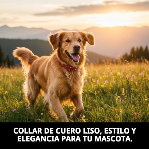 Collar de Cuero Liso para Mascotas 60x3.5 cm - Estilo y Durabilidad