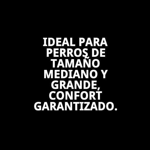 Collar de Cuero Liso para Mascotas 60x3.5 cm - Estilo y Durabilidad