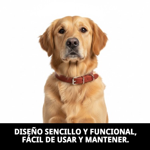 Collar de Cuero Liso para Mascotas 60x3.5 cm - Estilo y Durabilidad