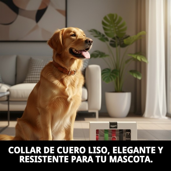 Collar de Cuero Liso para Perros - Estilo y Comodidad