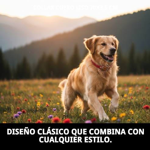 Collar de Cuero Liso para Perros - Estilo y Comodidad