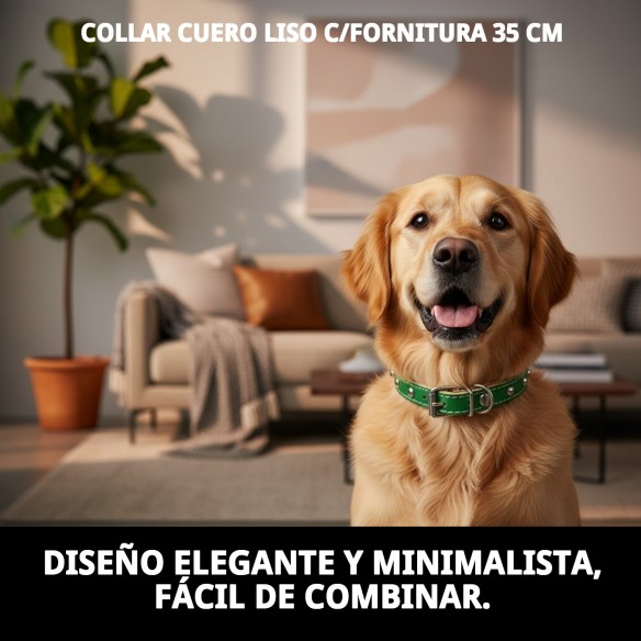 Collar de Cuero Liso con Fornitura - 35 cm para Mascotas