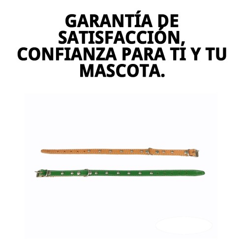 Collar de Cuero Liso con Fornitura - 35 cm para Mascotas