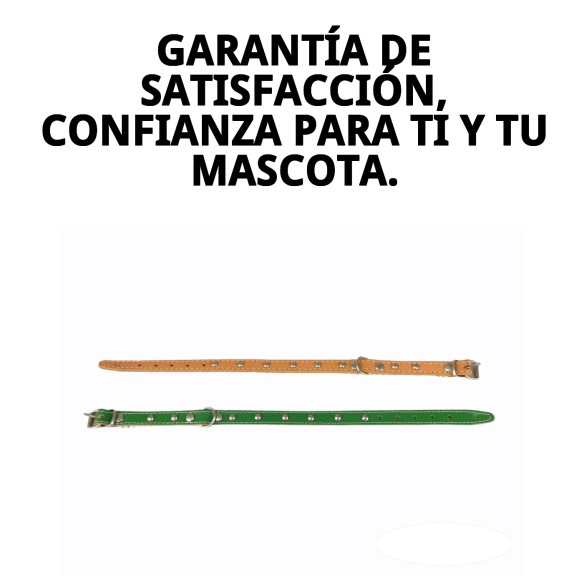 Collar de Cuero Liso con Fornitura - 35 cm para Mascotas