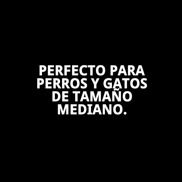 Comedero de Acero Inoxidable 25 cm con Diseño Divertido