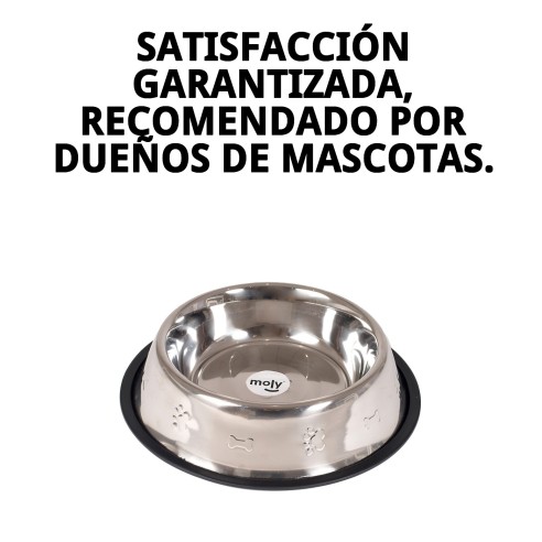 Comedero de Acero Inoxidable 25 cm con Diseño Divertido