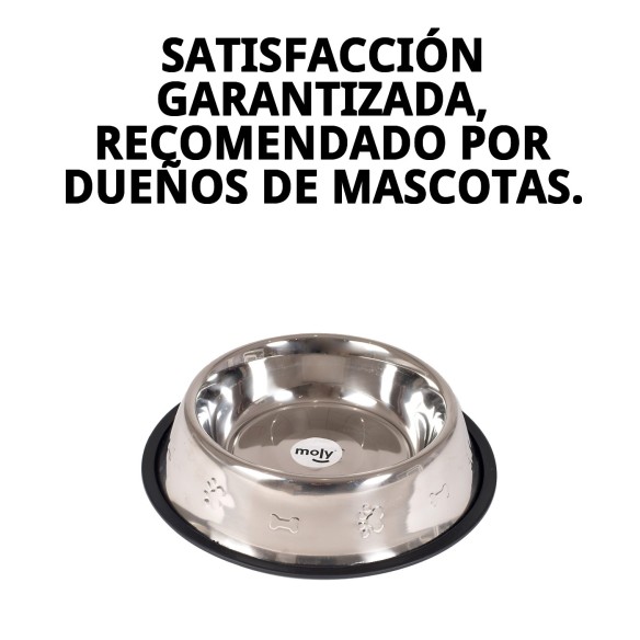 Comedero de Acero Inoxidable 25 cm con Diseño Divertido