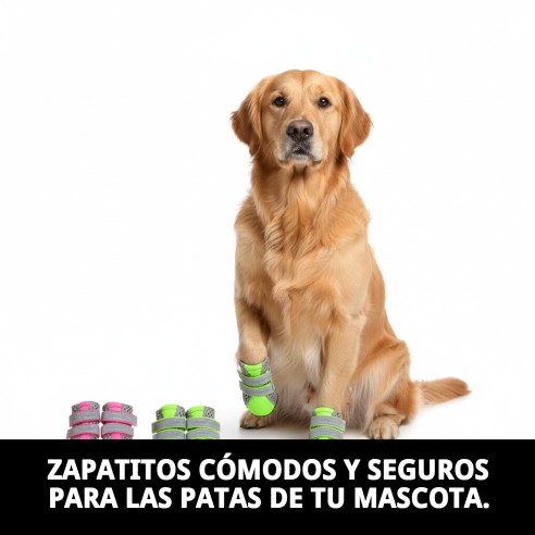 Zapatos Moly Mascota T-S: Comodidad y Protección para Tu Perro