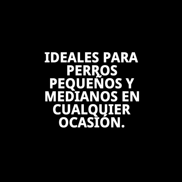 Zapatos Moly Mascota T-S: Comodidad y Protección para Tu Perro