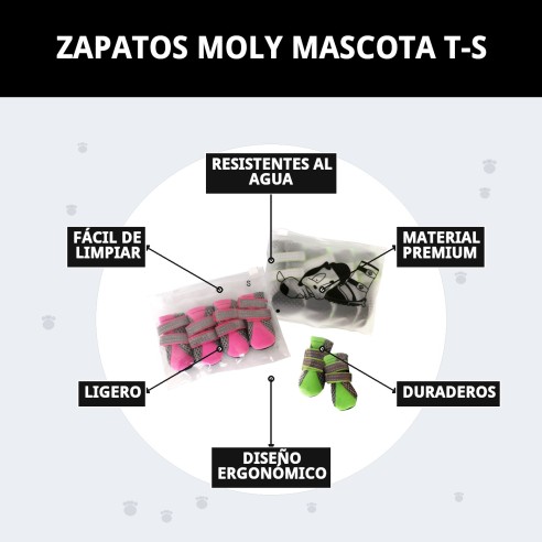 Zapatos Moly Mascota T-S: Comodidad y Protección para Tu Perro