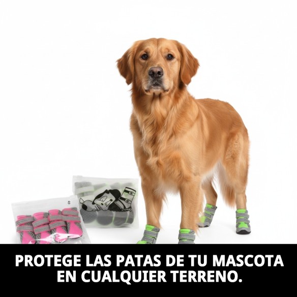 Zapatos Moly Mascota T-M: Confort y Protección para tu Perro