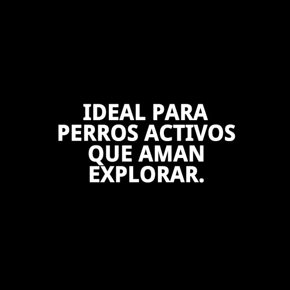 Zapatos Moly Mascota T-M: Confort y Protección para tu Perro