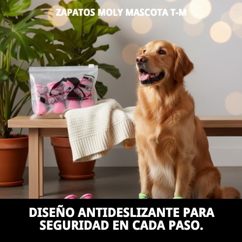 Zapatos Moly Mascota T-M: Confort y Protección para tu Perro