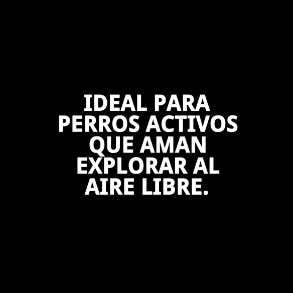 Zapatos Moly Mascota T-L: Comodidad y Protección Ideal