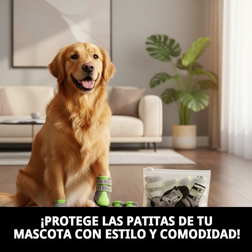 Zapatos Moly Mascota T-XL: Confort y protección para tus pets