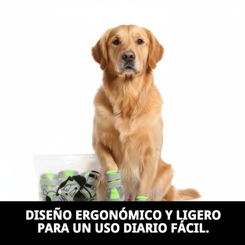 Zapatos Moly Mascota T-XL: Confort y protección para tus pets