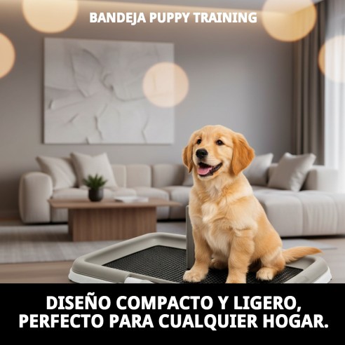Bandeja Puppy Training: Educa a tu mascota con higiene