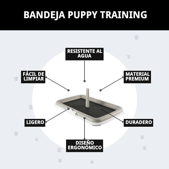 Bandeja Puppy Training: Educa a tu mascota con higiene