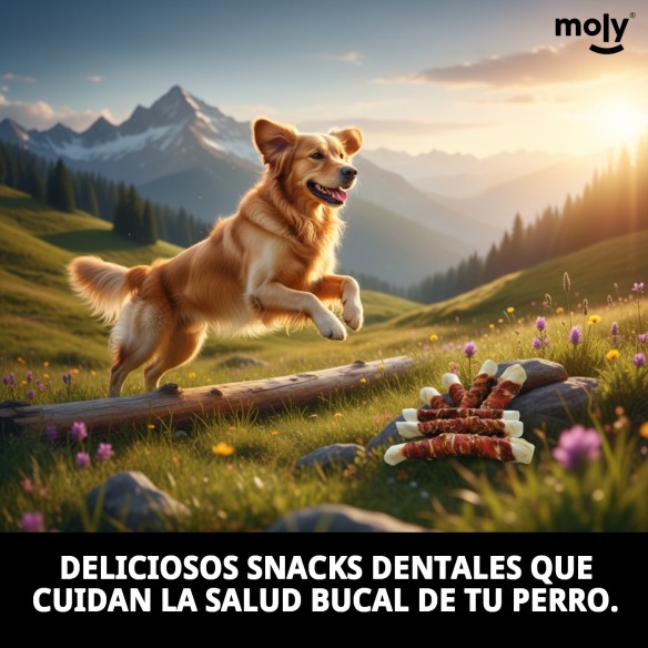 DENTAL SNACK PATO EXTRA MAXI 1 KG