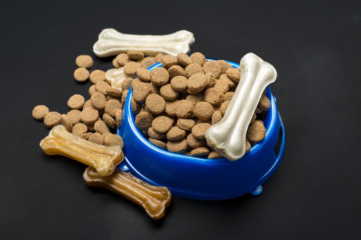 nacks y alimento para perros
