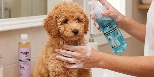 Castración si o no?